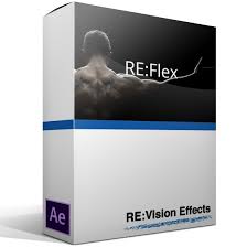 RE:Vision Effects RE:Flex