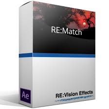 RE:Vision Effects RE:Match
