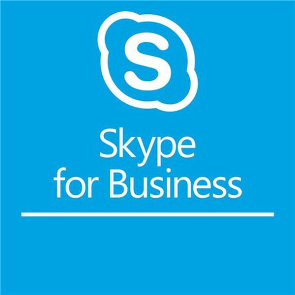 Microsoft Skype for Business Server Standard CAL 2019