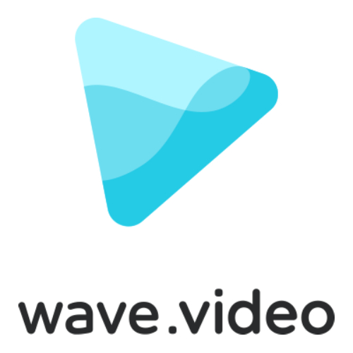 Animatron Wave.Video