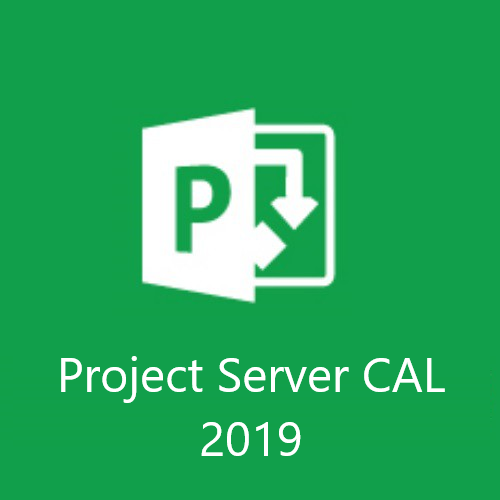 Лицензия Project Server 2019 CAL (User) (Perpetual License)Commercial MSPLDG7GMGF0F4LF-UC