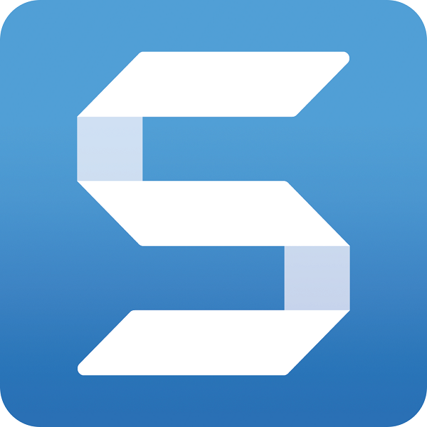 Snagit 5-9 Users (price per User) (устаревшая) SNAG09-18