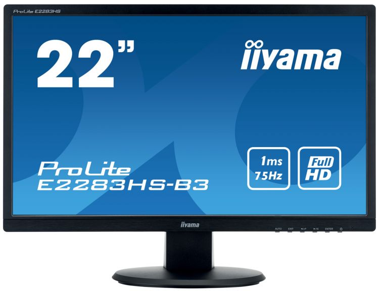 Монитор Iiyama 24" ProLite E2483HS-B3 черный TN+film LED 1ms 16:9 HDMI M/M матовая 1000:1 250cd 170гр/160гр 1920x1080 D-Sub DisplayPort FHD 3.5кг