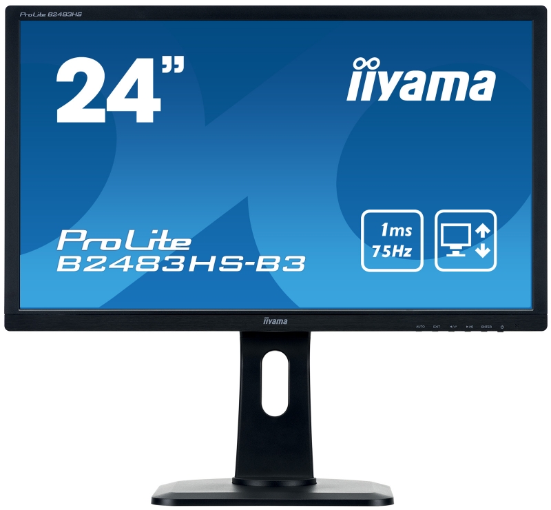 Монитор Iiyama 24" ProLite B2483HS-B3 черный TN LED 1ms 16:9 M/M матовая HAS Pivot 1000:1 250cd 170гр/160гр 1920x1080 D-Sub DisplayPort FHD 5.1кг
