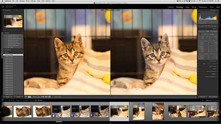 Adobe Lightroom