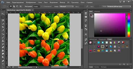 Как изменить цвет цветов в Фотошопе
