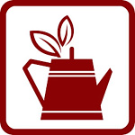 1С: Предприятие 8. Бухгалтерия СНТ