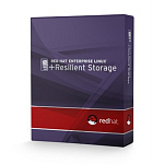 Resilient Storage