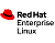 Red Hat Enterprise Linux with Smart Virtualization