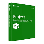 Microsoft Project Professional 2019