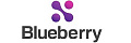 Продукты Blueberry Software